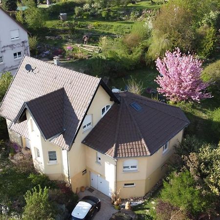 Chez Olivier Et Josette Sur Mulhouse Sud Lägenhet Illfurth Exteriör bild