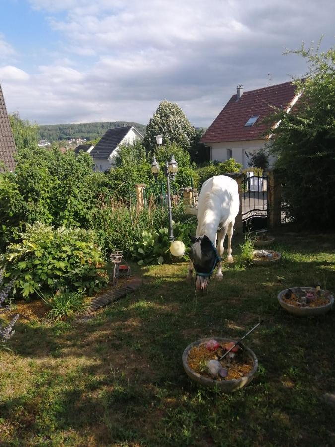 Chez Olivier Et Josette Sur Mulhouse Sud Lägenhet Illfurth Exteriör bild