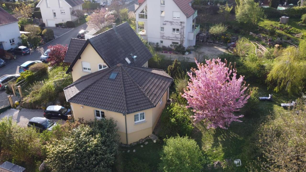 Chez Olivier Et Josette Sur Mulhouse Sud Lägenhet Illfurth Exteriör bild