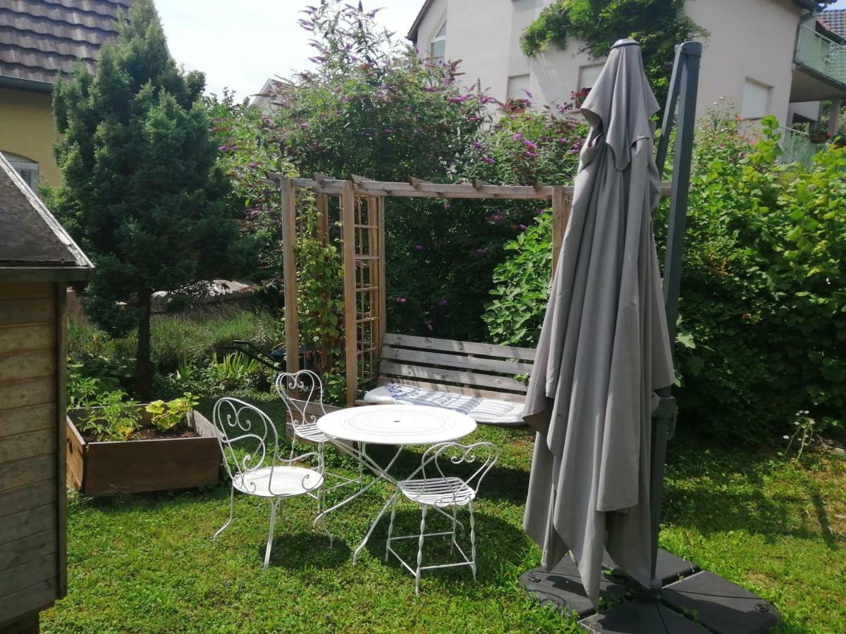 Chez Olivier Et Josette Sur Mulhouse Sud Lägenhet Illfurth Exteriör bild